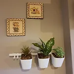 Apartment Acogedor En Con Piscina Acceso Directo A Silla *